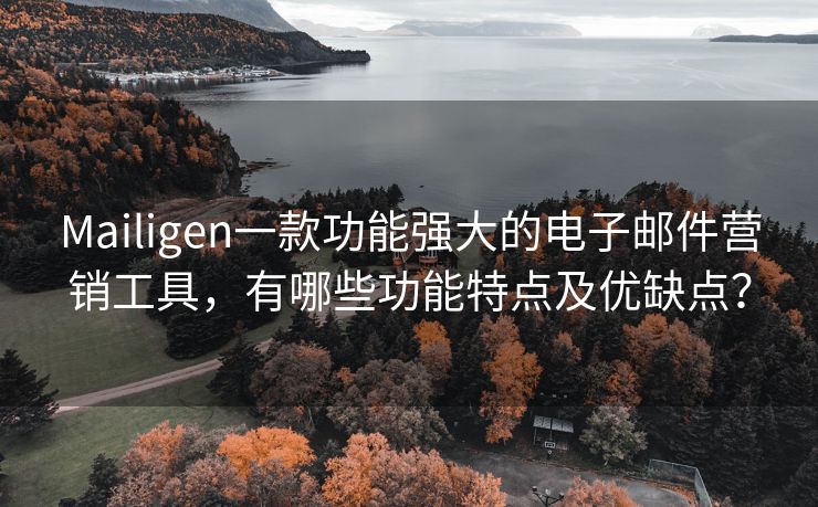 Mailigen一款功能强大的电子邮件营销工具，有哪些功能特点及优缺点？