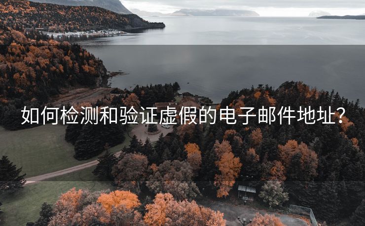 如何检测和验证虚假的电子邮件地址？