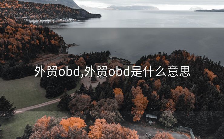 外贸obd,外贸obd是什么意思