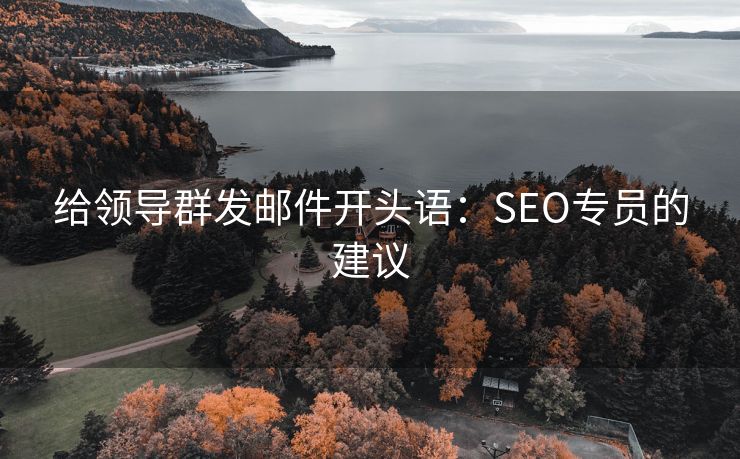 给领导群发邮件开头语：SEO专员的建议