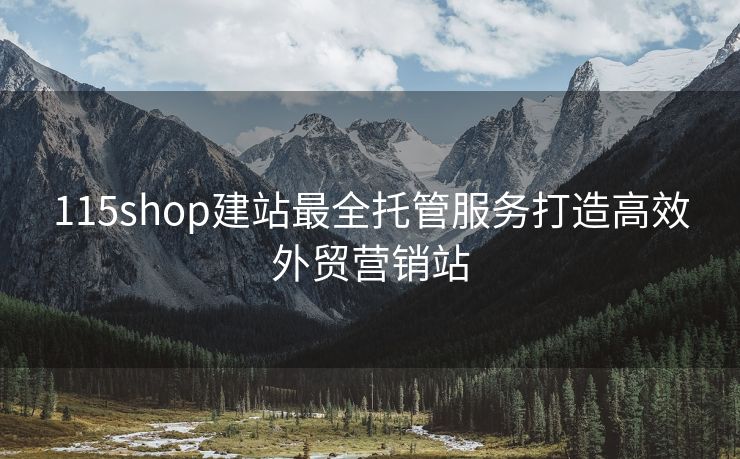 115shop建站最全托管服务打造高效外贸营销站