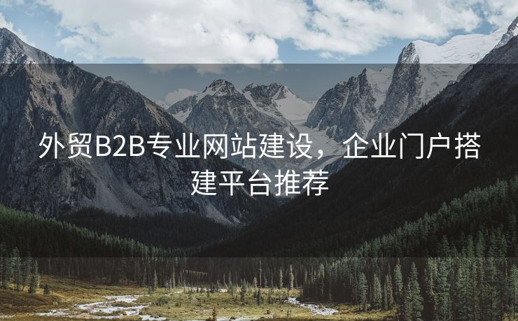 外贸B2B专业网站建设，企业门户搭建平台推荐