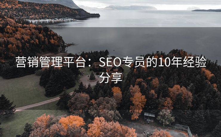 营销管理平台：SEO专员的10年经验分享